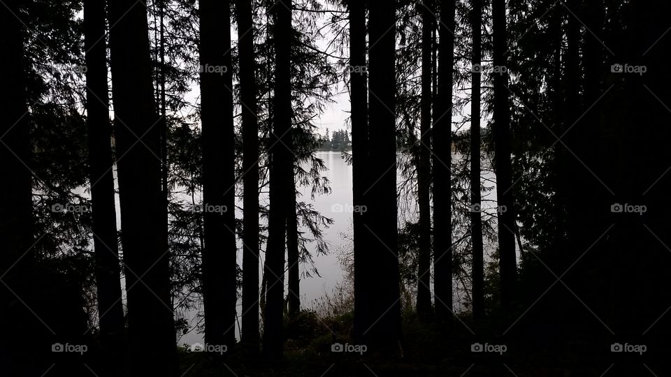 A stunning lake deep through the trees. 