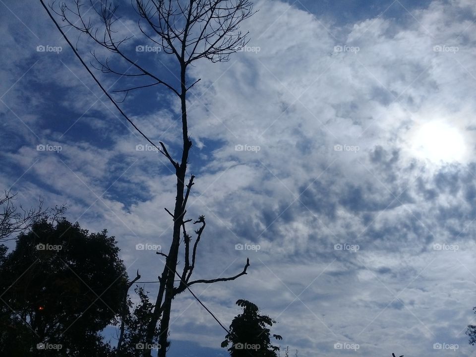 nature. sky and clouds
