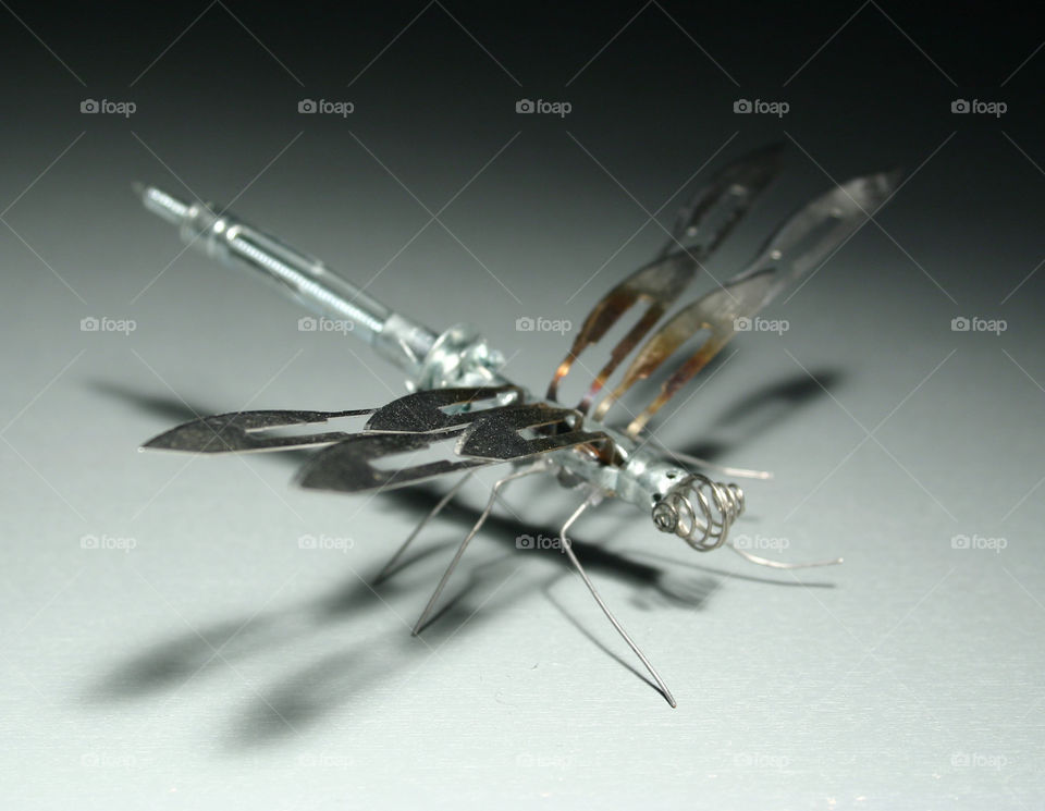 Multi media dragonfly