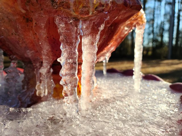 Winter fountain