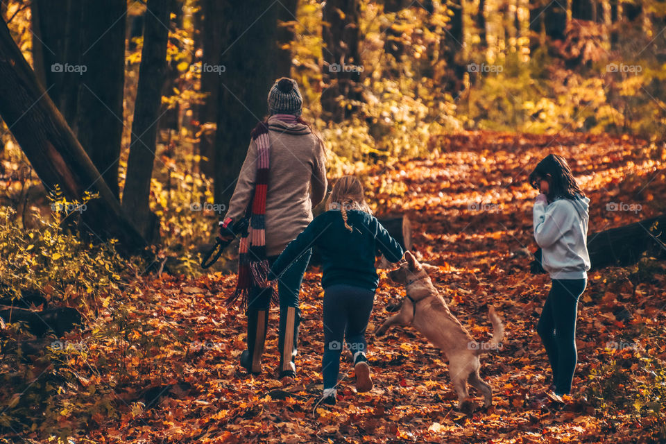 Autumn walk in a park