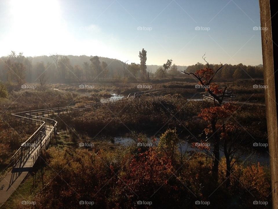 Wetlands preserve