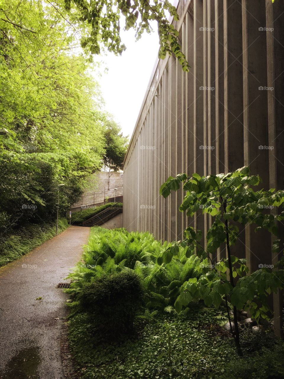 Path in park 