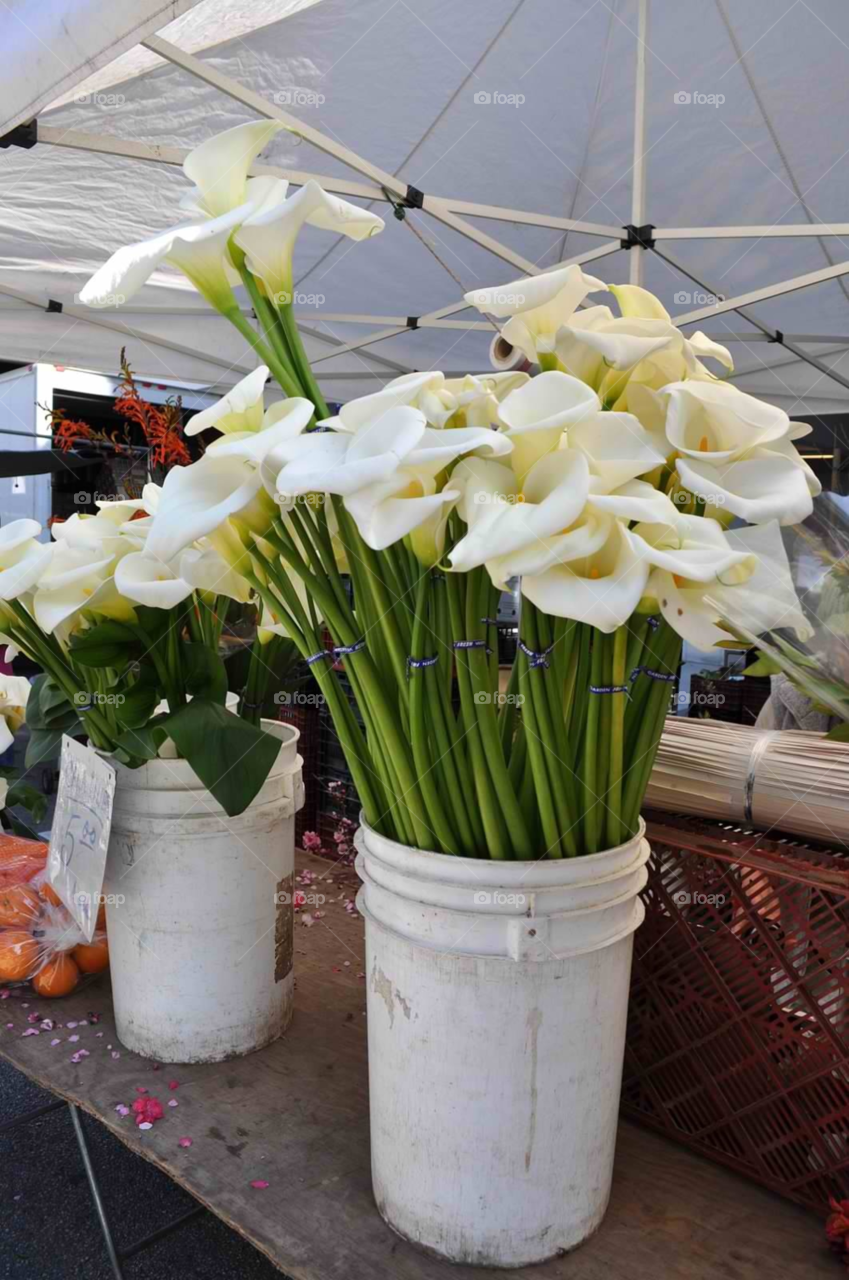 flowers white wedding bucket by micheled312