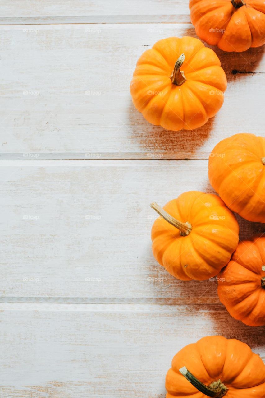 Jack-o-lantern or soup?
Where will this ripe pumpkin end up?