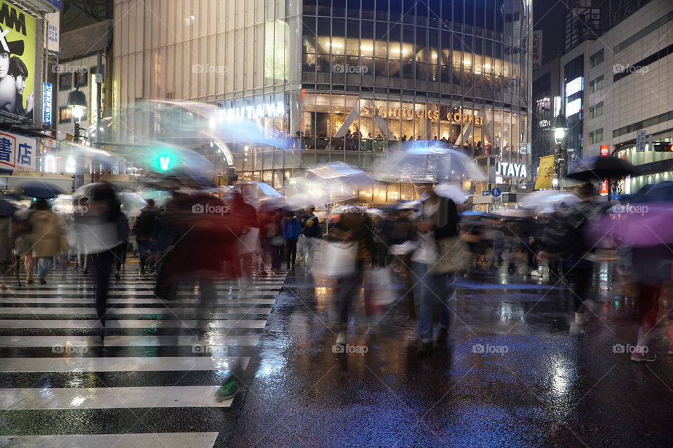 Shibuya Crossing 