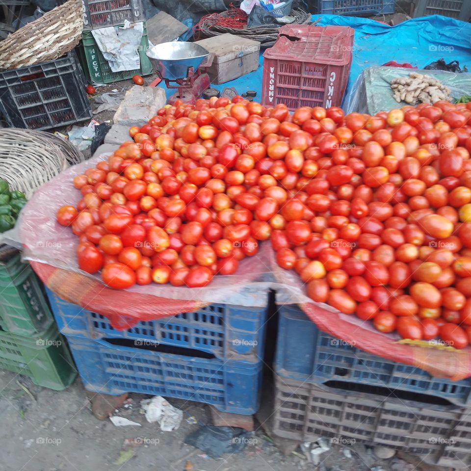 tomatoes
