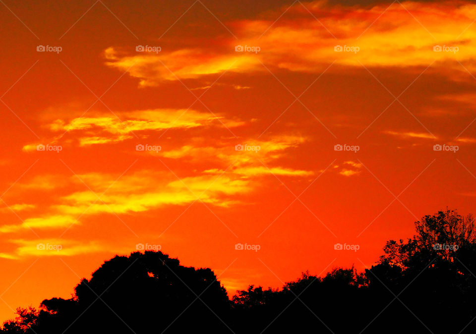 Magnificent Sunrise . Taken early in the morning when the dew was on the grass at the golf course!