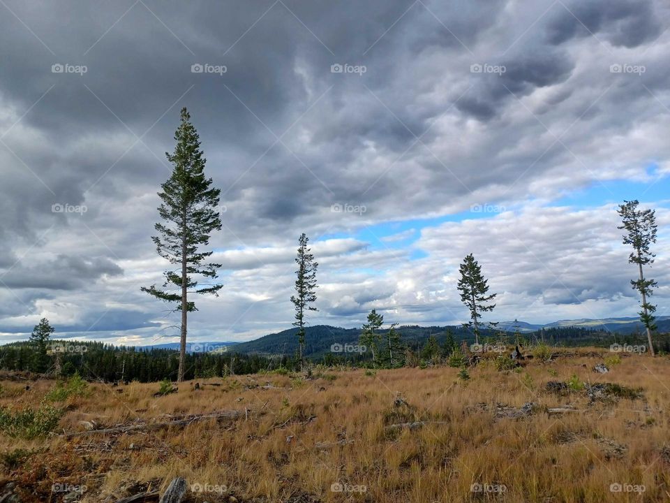 view in the mountains