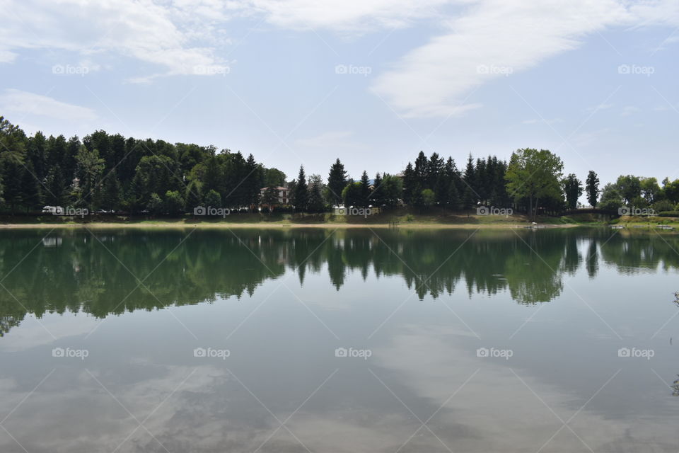 Lake and trees