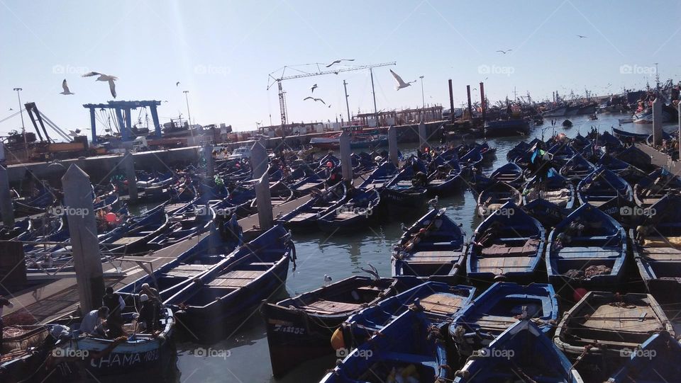 Boats docking at the docks