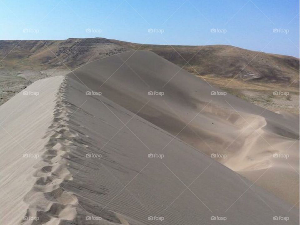 Sand dunes 