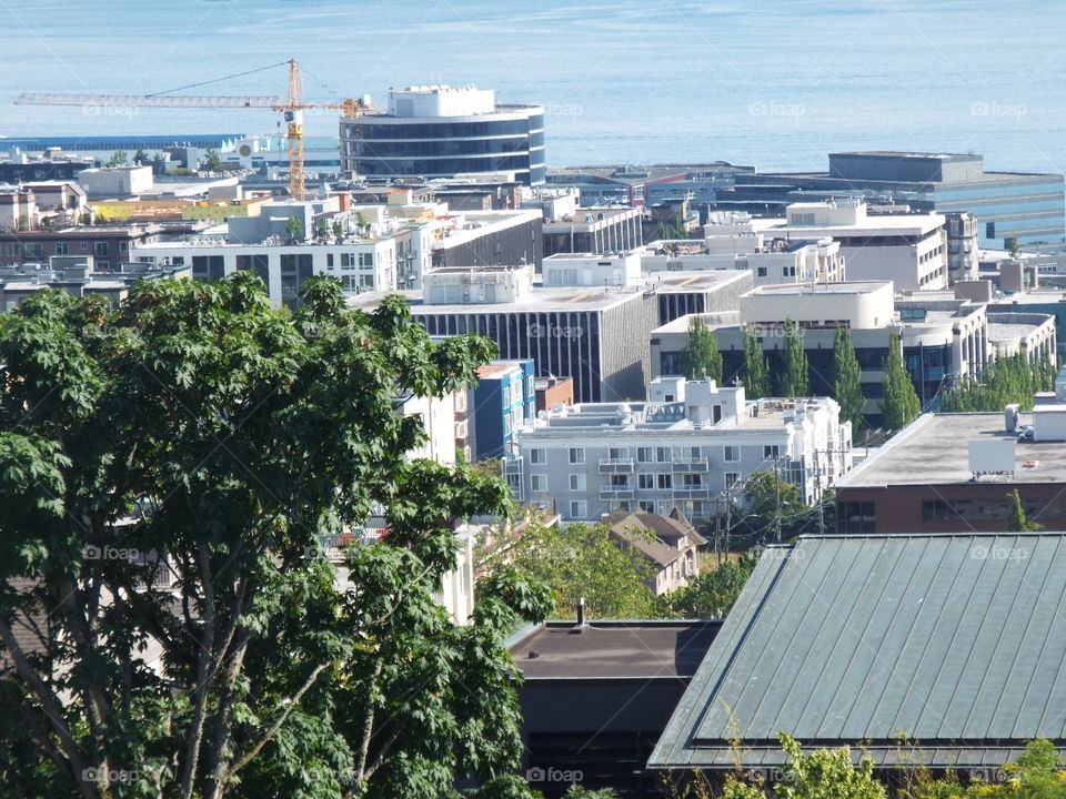 Seattle. Harbor.