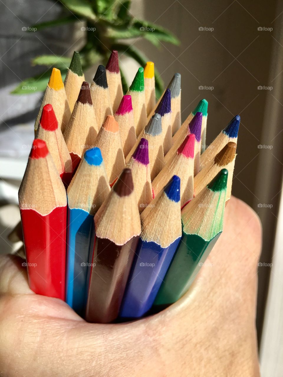 Person holding color pencils in hand