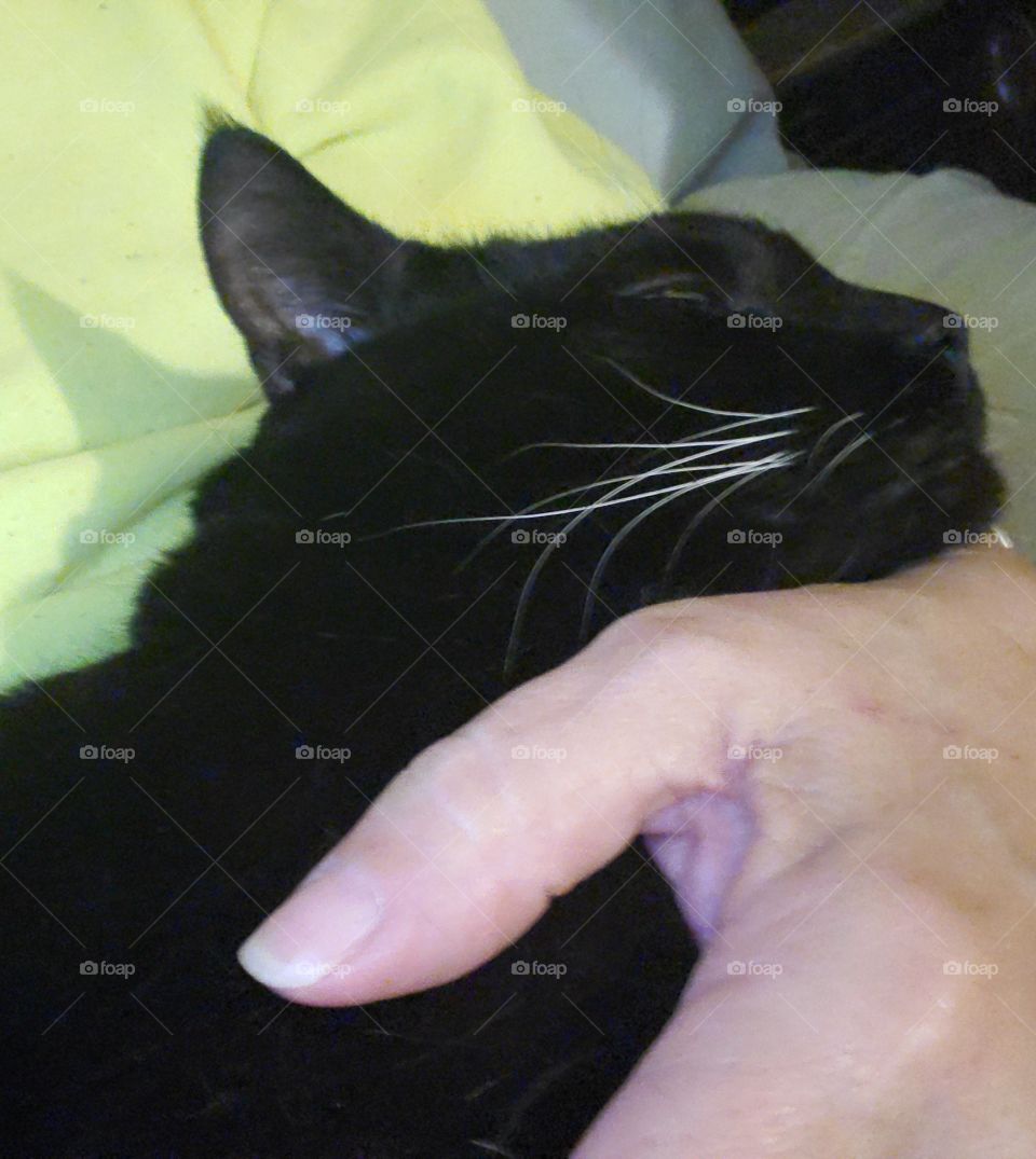 the hand that rocks the cradle