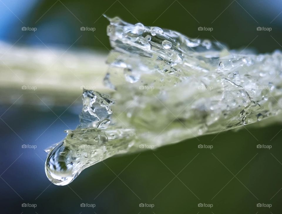 Water drop