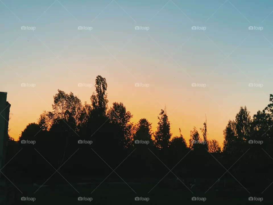 Golden hour