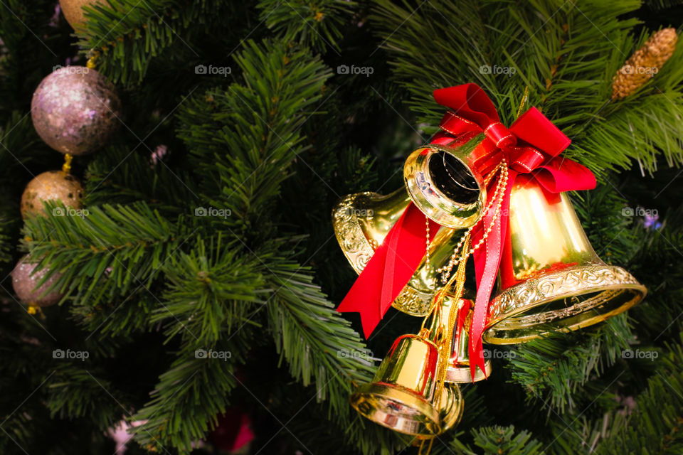 Bright golden bell decorate on the cristmas tree ready for celebrate this holiday.