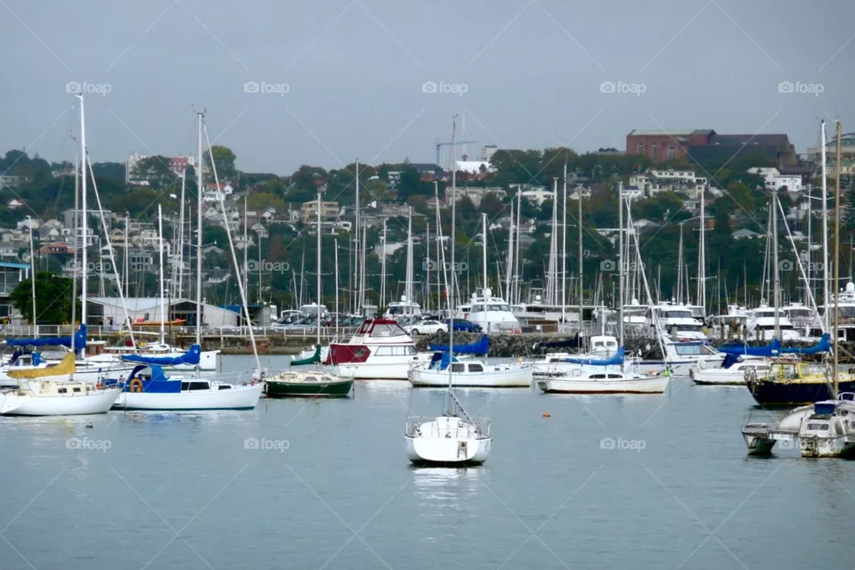 Harbor, Sea, Marina, Yacht, Pier