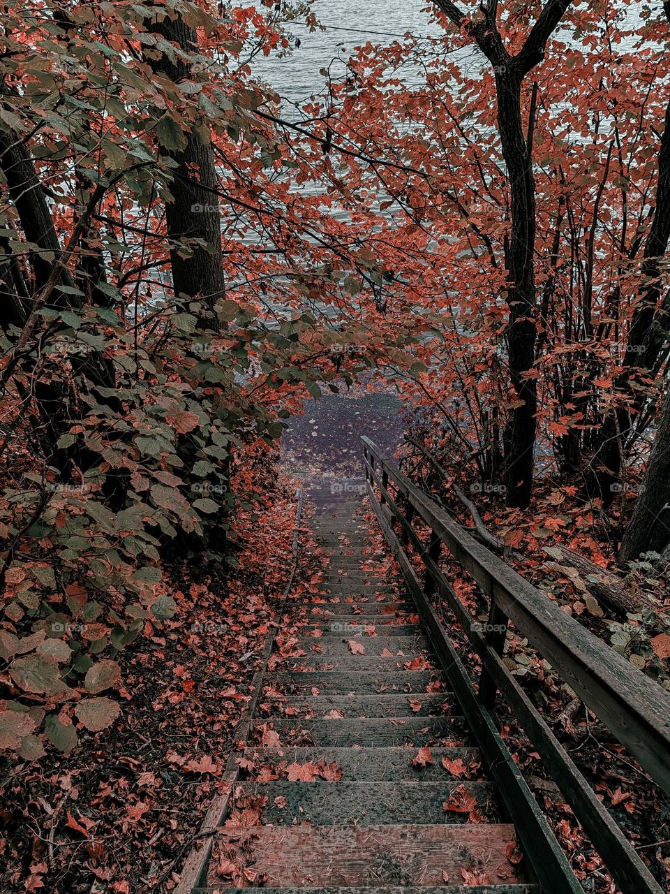 Autumn’s flames ignite the soul, leading us to peaceful waters