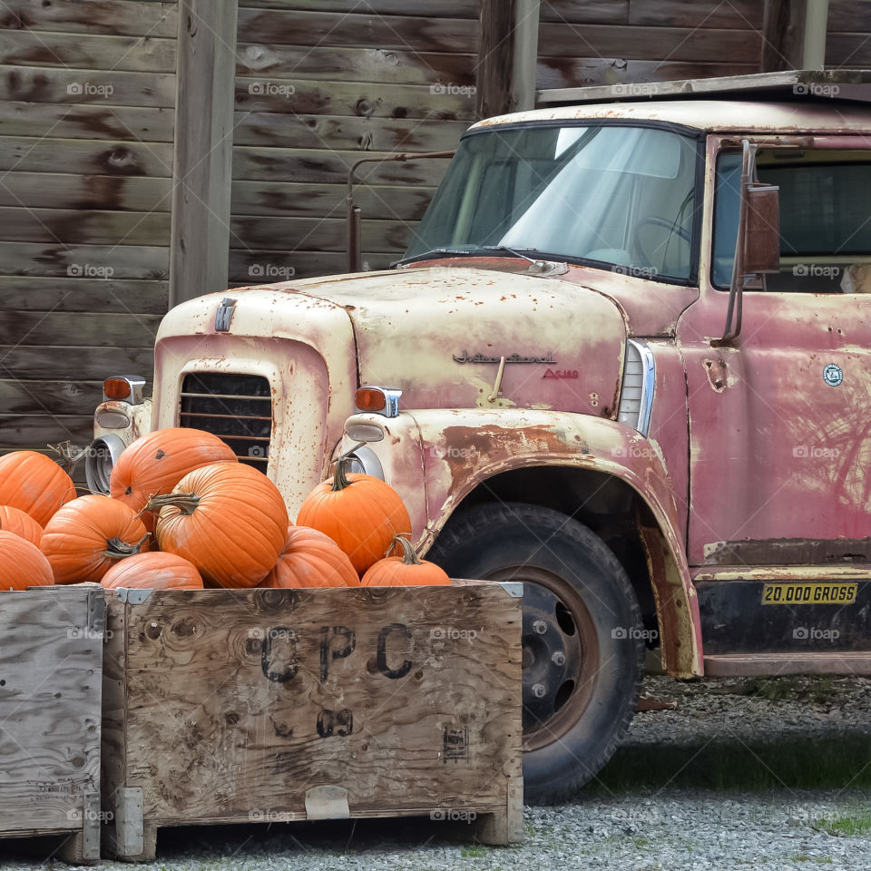 Old truck with pumpkins