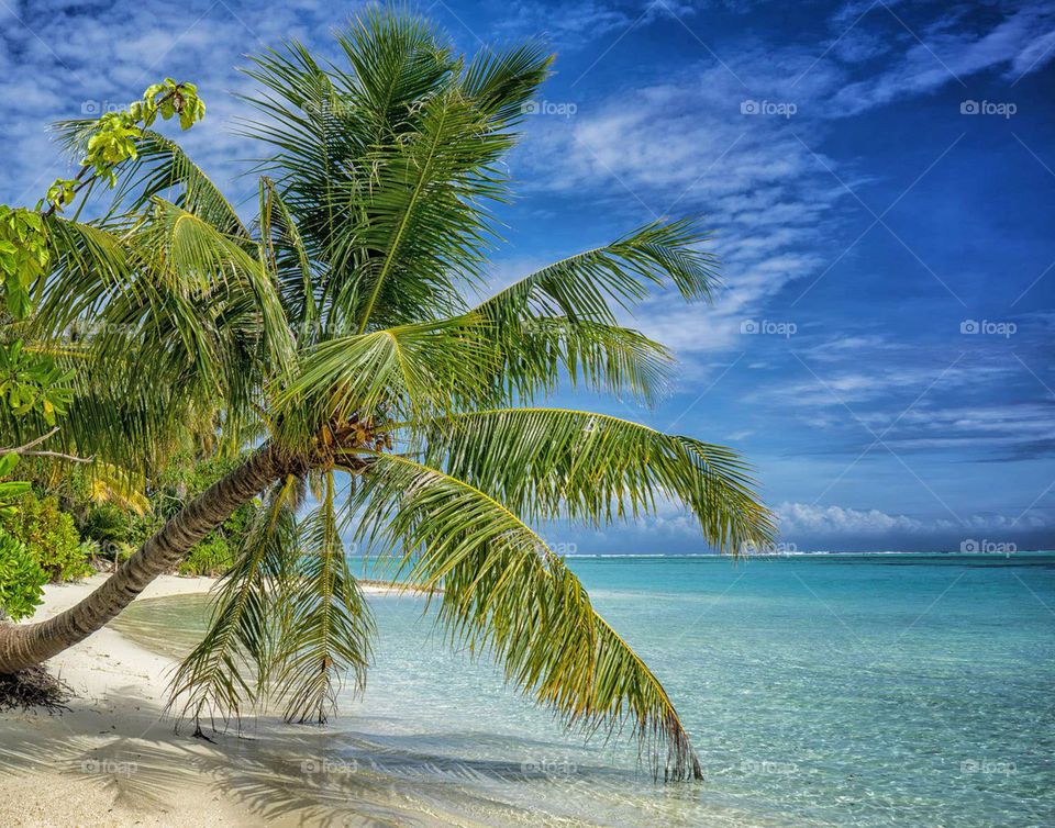 Travel around the world