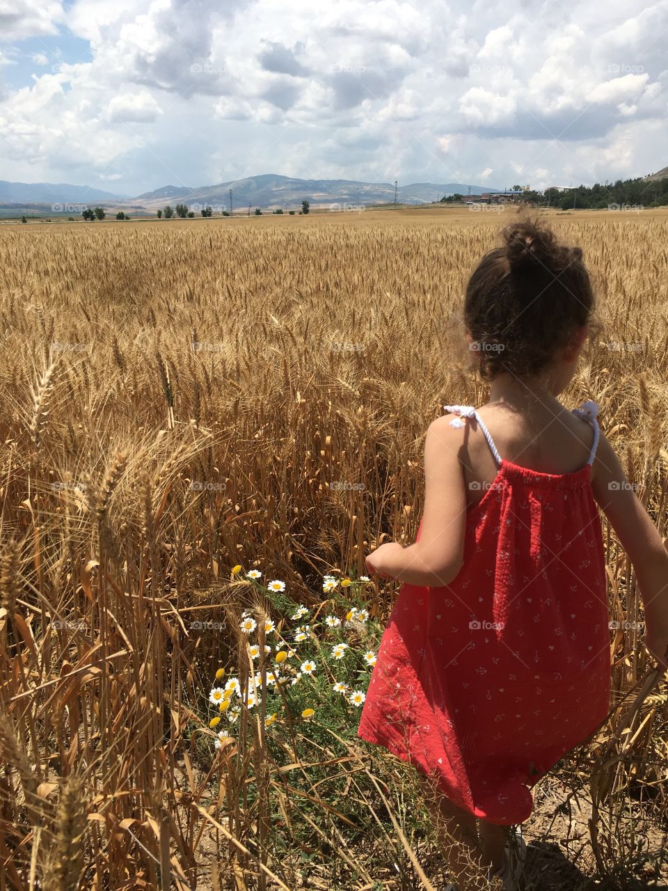 A wheat field and an angel