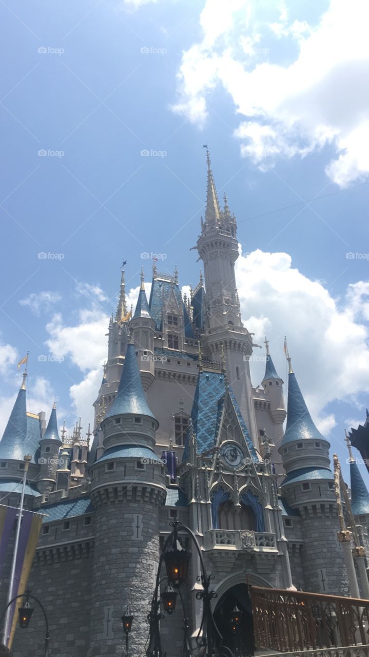 Cinderella's Castle in Florida 