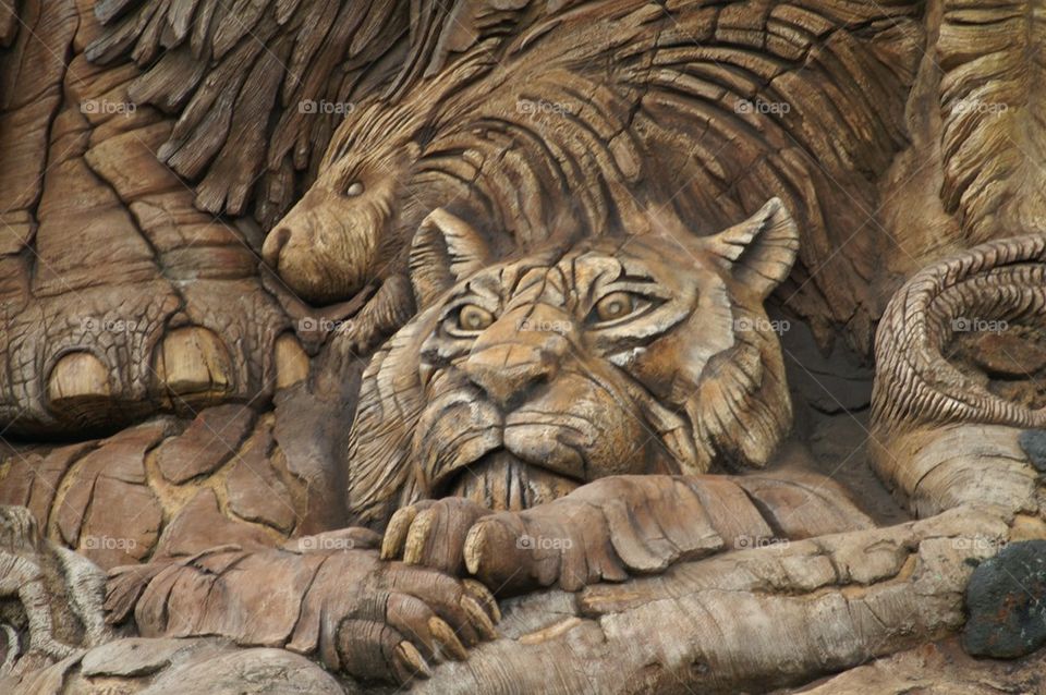 Tiger and Porcupine Tree of Life