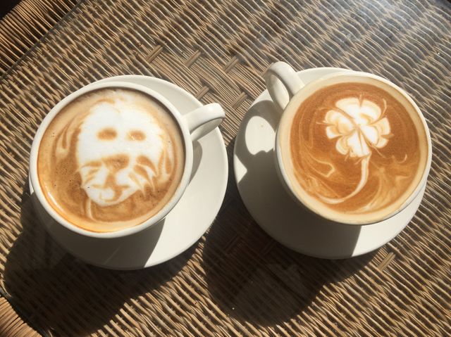 St. Patrick's Day Coffee. Fremont Coffee House 