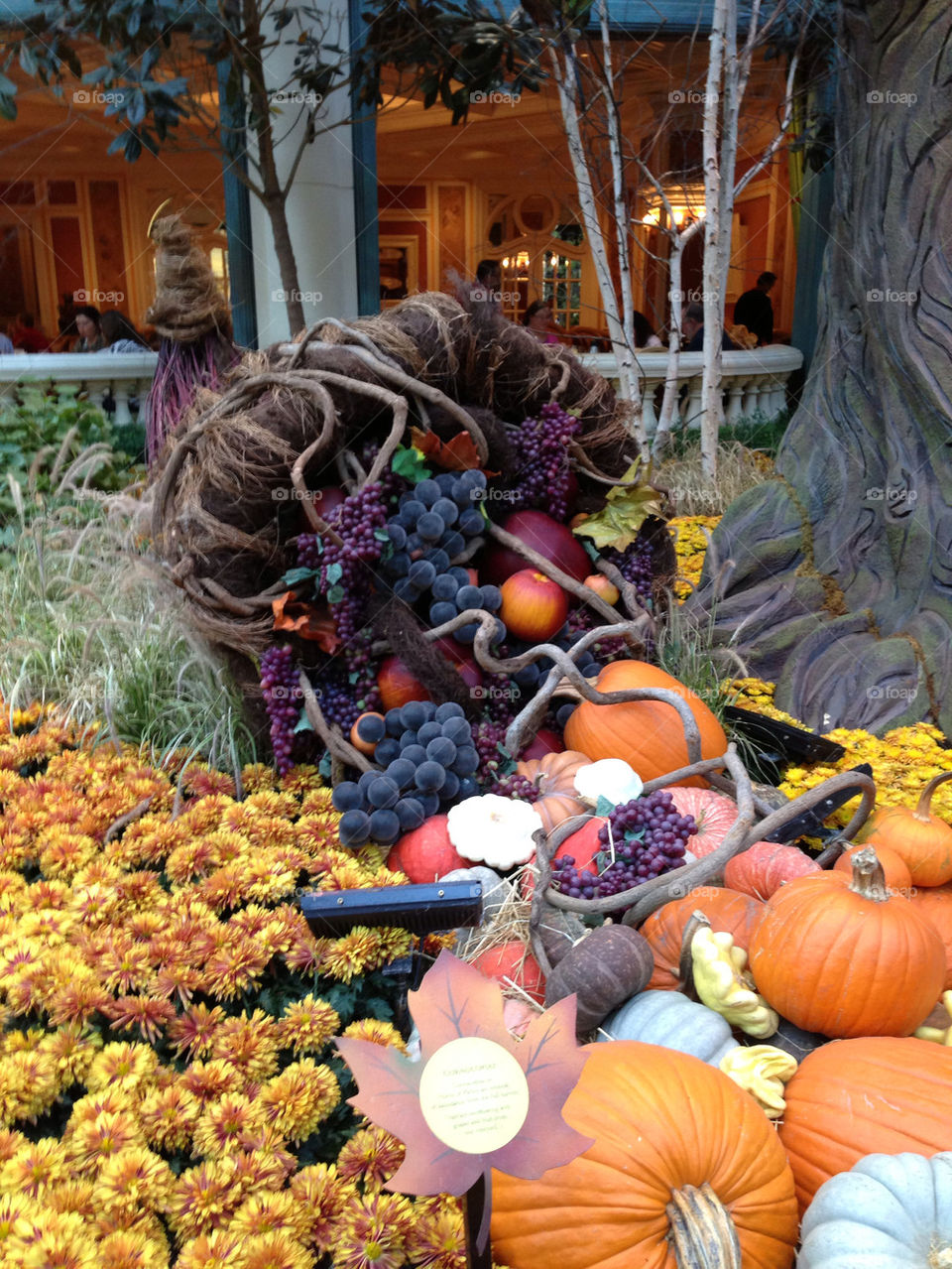flowers yellow tree orange by snook911