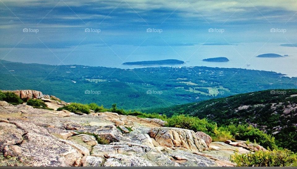 Nature. Acadia National Park