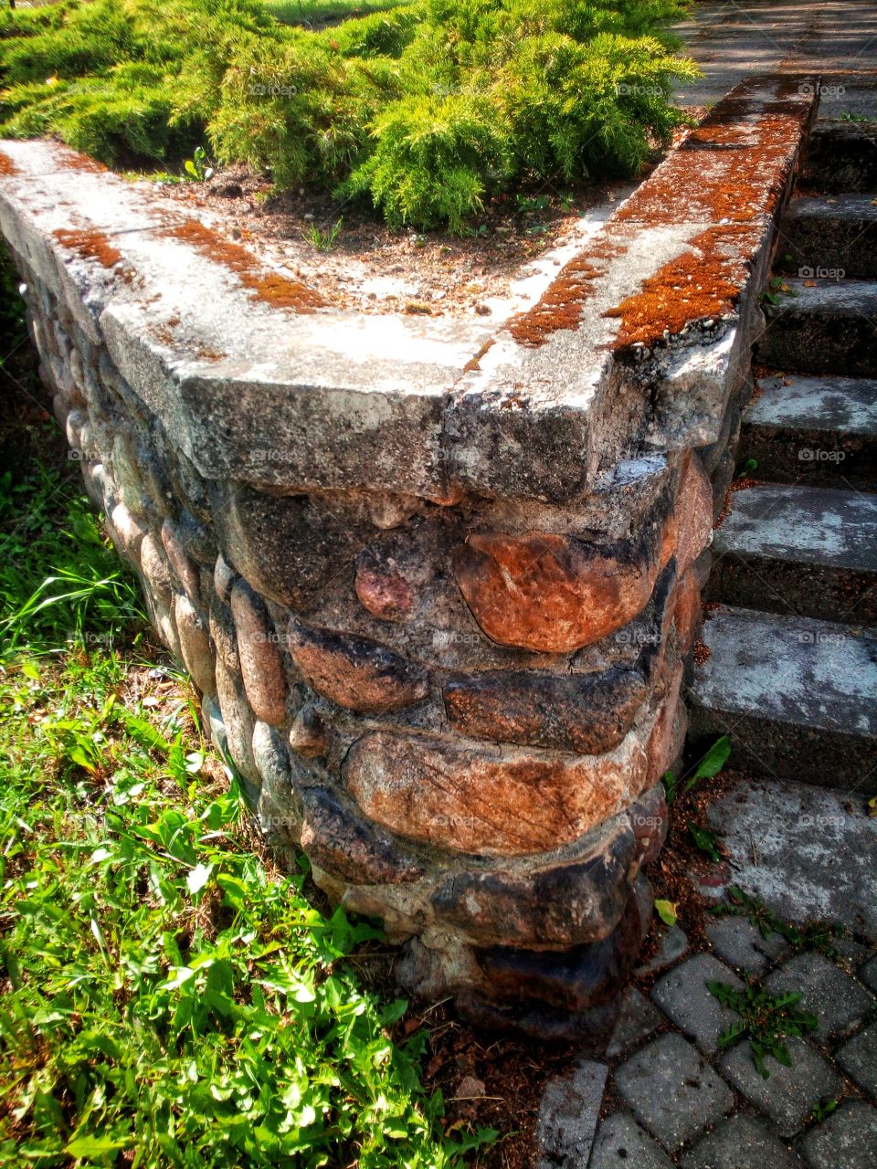 "The photograph gives constant reference to the rectangle. This forces any idea into the confines of pictorial illusionism."
~Dennis Oppenheim