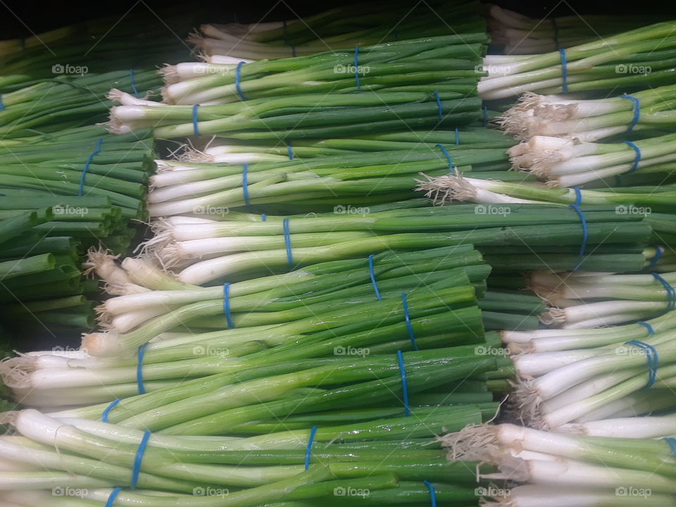 Green Onions Close Up Vegetable Bunches