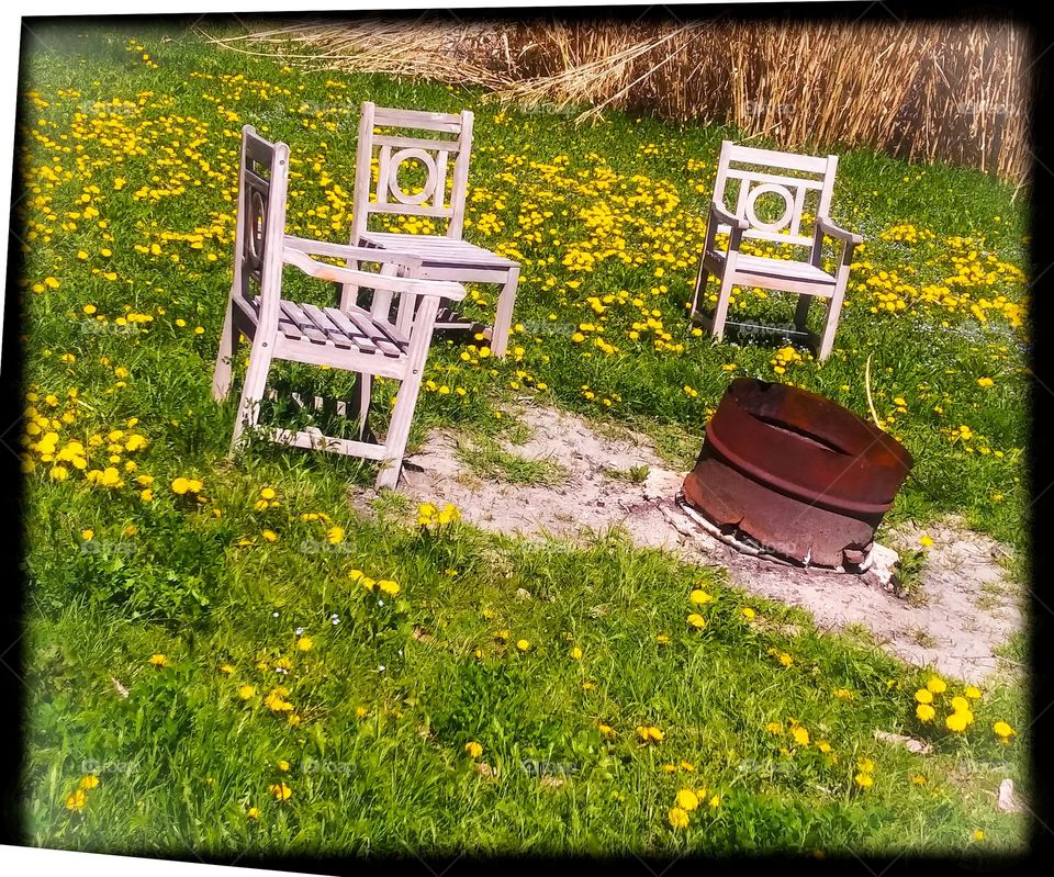 come have a seat with me in my heaven full of wildflowers and bliss