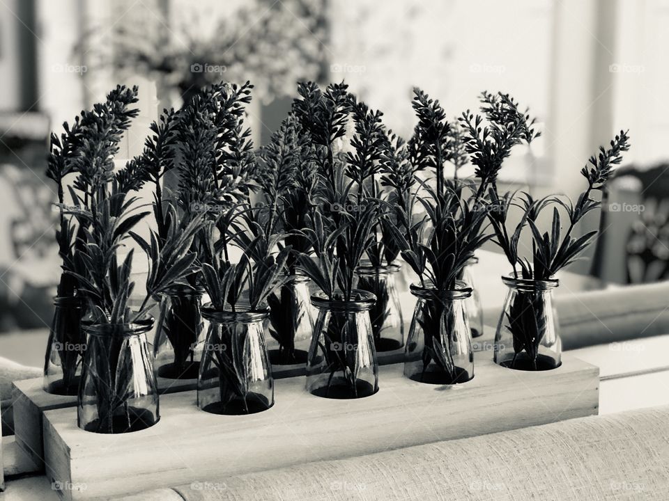 Black And White Jars Of Flowers