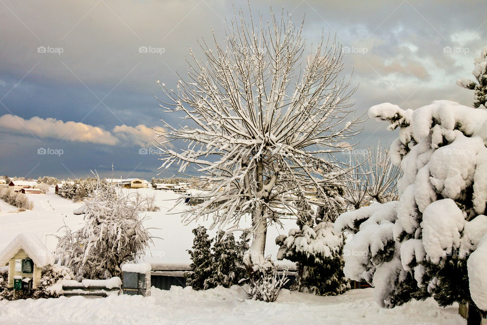 Scenic view of snow covered on landscape