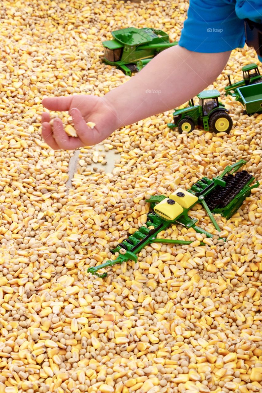 Isolated view of a little boy’s hand as he plays with toy green-and-yellow (John Deere) farm equipment in a bin of field corn