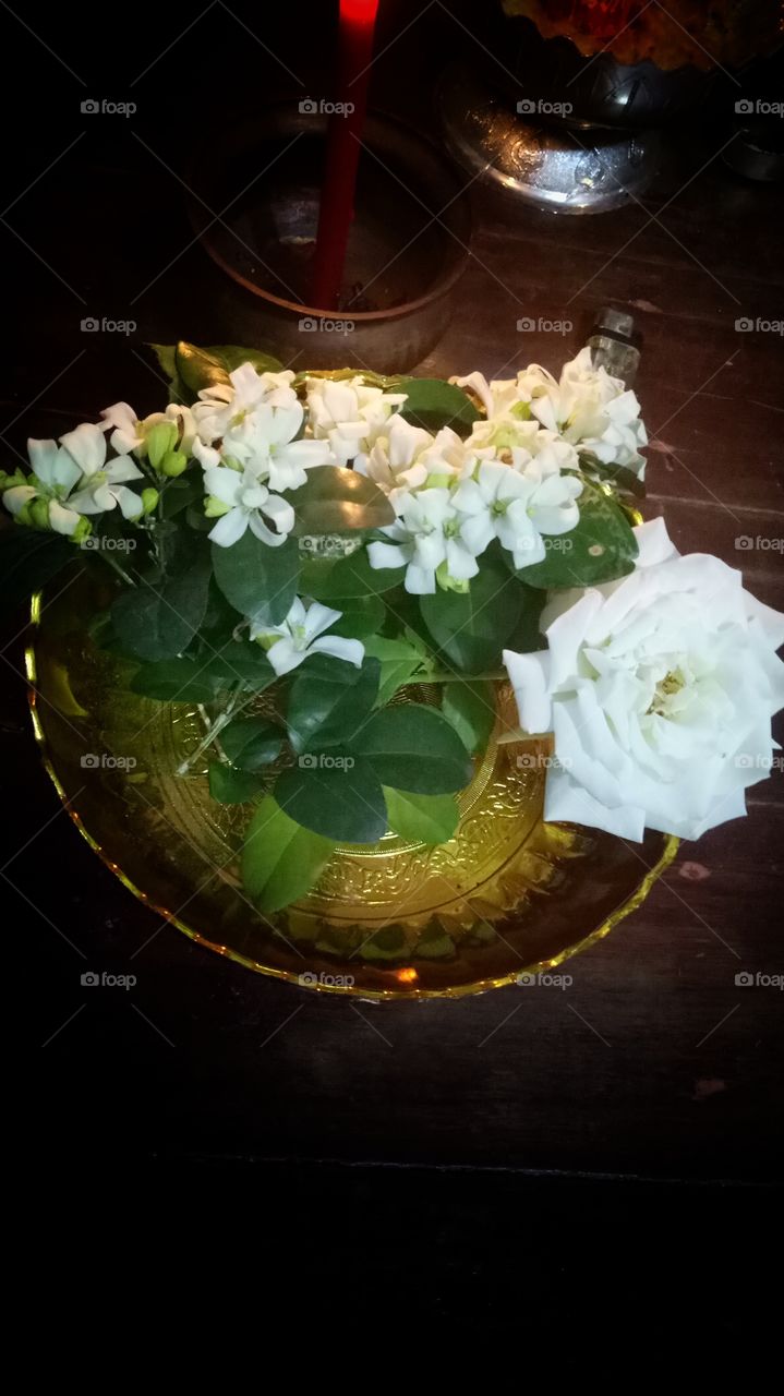 for White flowers