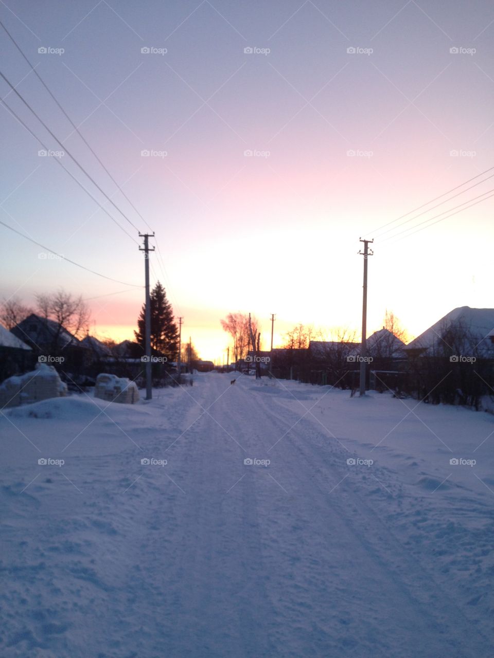 Cold village's winter ❄️