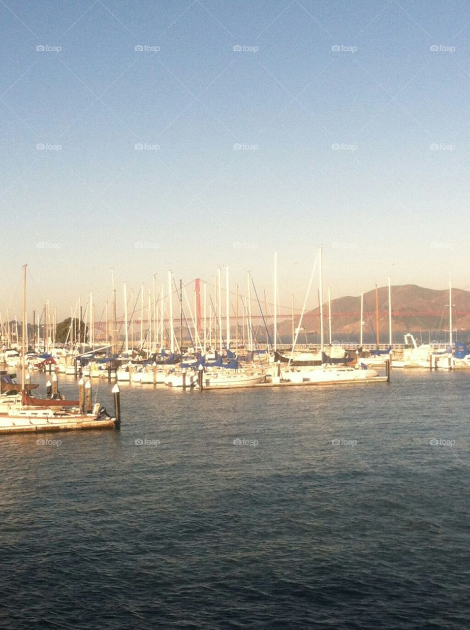 looking towards the Golden Gate through masts of many sailboats