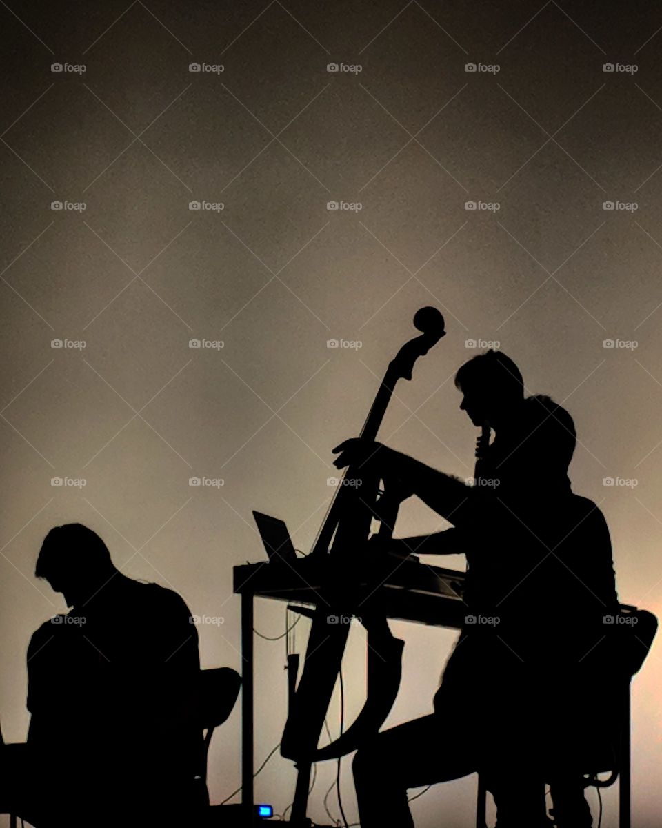 Ludovico Einaudi's team cast hauntingly beautiful silhouettes against the backdrop when they performed at the Atlanta Symphony Hall.