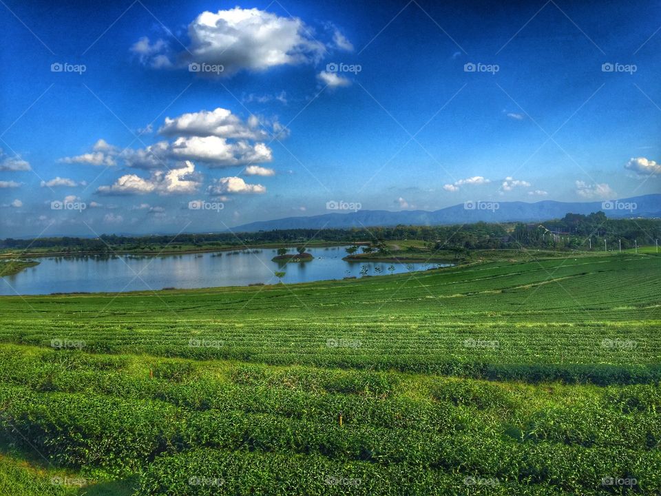 Boon Rod farmland, Chiang Rai , Thailand. Boon Rod farmland, Chiang Rai , Thailand