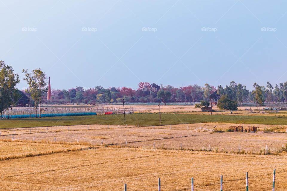 agriculture landscape