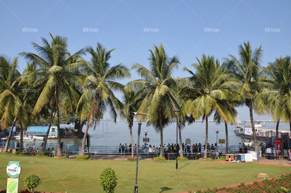 Beach, Palm, Resort, No Person, Travel