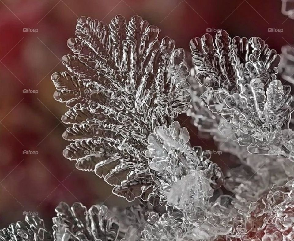 Рисунки природы