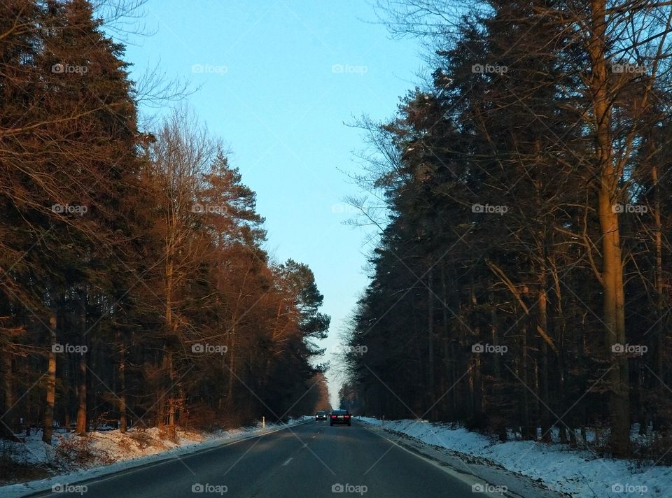 Winter road at dusk