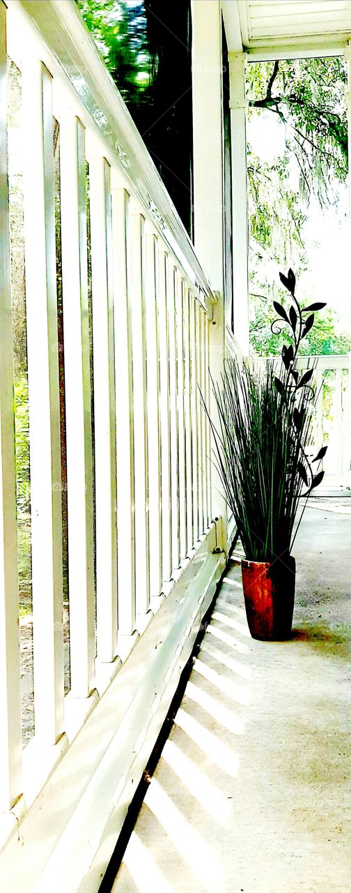 foap mission a vertical capture  plants on porch white vertical porch posts vertical green grass plants