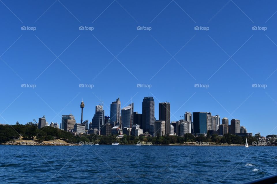 Sydney cityscape 