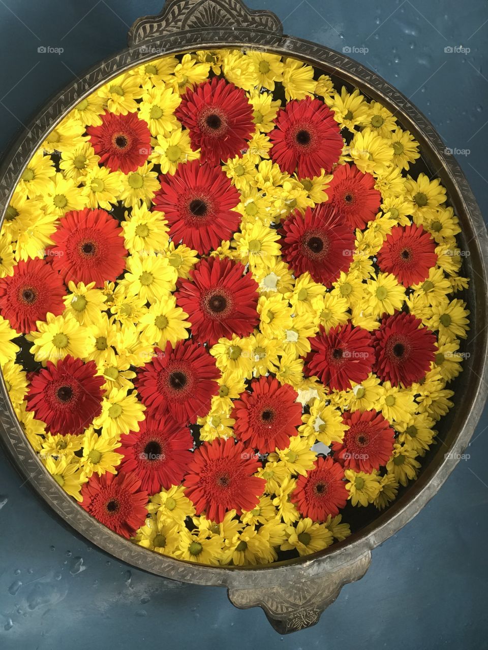 Red and yellow contrasting flowers in large bowl